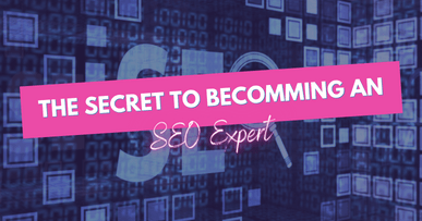 SEO Expert SEO Expert